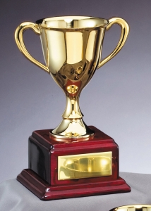 AWARDS CUP