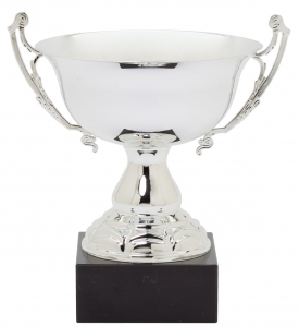CUP AWARD