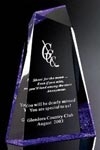 Purple Pinnacle Award